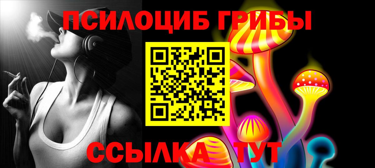 Псилоцибиновые грибы Psilocybe  Вход с VPN  Калуга 